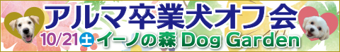 アルマ オフ会2023